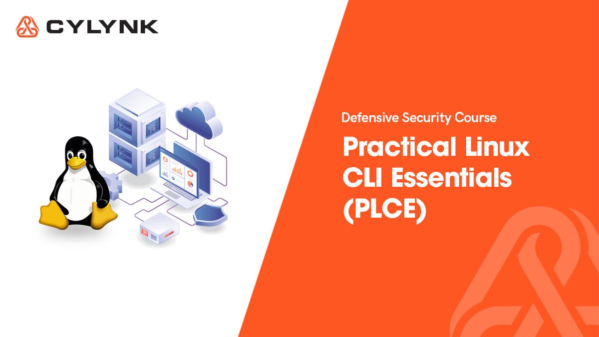 Practical Linux CLI Essentials (PLCE)